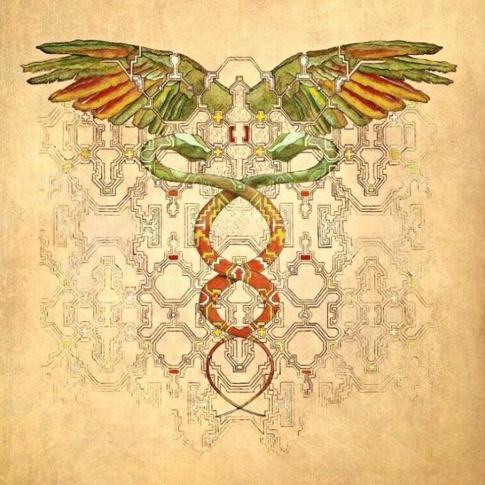 ashipibocaduceus-001